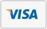 AlloyGator accept Visa payments